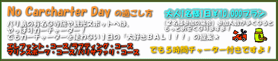 �m�[�J�[�`���[�^�[�f�[�@�o�����ł̃J�[�`���[�^�[&�X�p�E�G�X�e���I�v�V�����c�A�[�@���\��͂����炩��