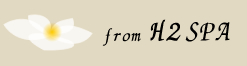 H2SPAin[gD[Xpj<br>bõXpEGXeE}bT[W̊i\H2-SPA