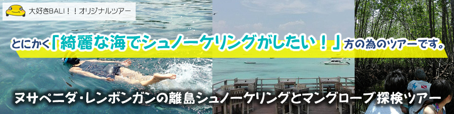 ヌサペニダ・レンボンガンの離島シュノーケリングとマングローブ探検ツアー