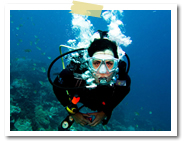 �X�����K�����_�C�r���O�b�o���� �I�v�V���� �}�����X�|�[�c