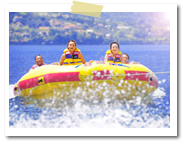 �h�[�i�c�b�o���� �I�v�V���� �}�����X�|�[�c