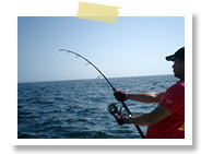 �t�B�b�V���b�o���� �I�v�V���� �}�����X�|�[�c