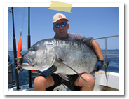 �g���[�����O�b�o���� �I�v�V���� �}�����X�|�[�c