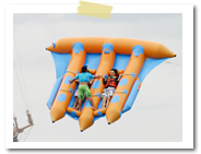 �t���C�t�B�b�V���b�o���� �I�v�V���� �}�����X�|�[�c