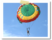 �p���Z�[�����O�b�o���� �I�v�V���� �}�����X�|�[�c