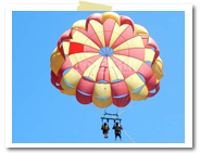 �p���Z�[�����O2�l���b�o���� �I�v�V���� �}�����X�|�[�c