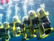 �S�[���h�A�C�����h�r�[�`�N���u���E�H�[�^�[�X�|�[�c�Ёb�o���� �I�v�V���� �}�����X�|�[�c