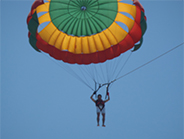 �S�[���h�A�C�����h�r�[�`�N���u���E�H�[�^�[�X�|�[�c�Ёb�o���� �I�v�V���� �}�����X�|�[�c