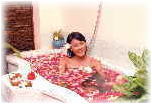 �X�p�@�o�����ł̃J�[�`���[�^�[&�X�p�E�G�X�e���I�v�V�����c�A�[